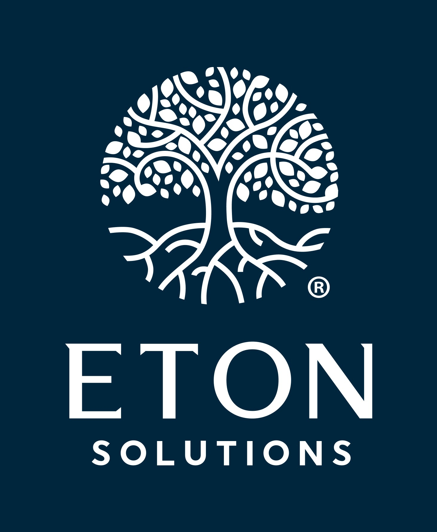 Eton Solutions Launches EtonGPT™ Enabled Fund Accounting Platform and Services Targeted at General Partners of Private Equity Firms